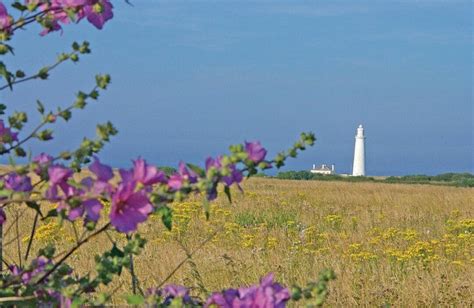 Parkdean Resorts Whitley Bay Holiday Park Pool: Pictures & Reviews - Tripadvisor