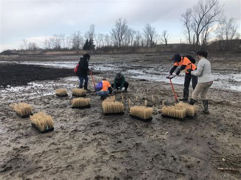 Salt Marsh Steward Program Kicks Off At Great Meadows Marsh Audubon