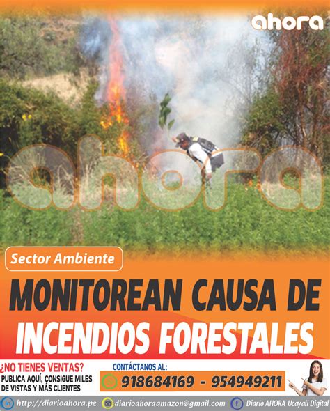 Monitorean Causa De Incendios Forestales Diario Ahora