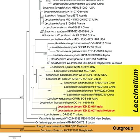 Phylogram Generated By Maximum Likelihood Analysis Based On Combined