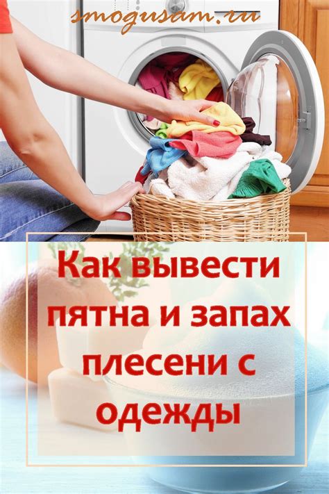 ПРОЩЕ ПРОСТОГО Отстирать ПЛЕСЕНЬ с ОДЕЖДЫ и удалить ее ЗАПАХ! ЭТО ...