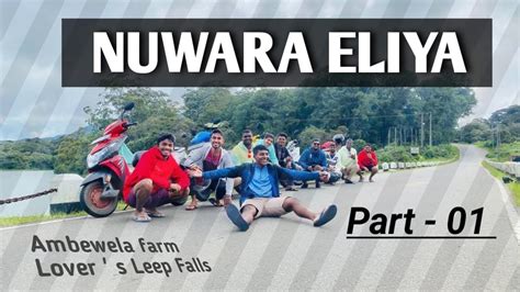 Nuwara Eliya Tirp Day Ambewela New Zealan Farm Lover S Leep