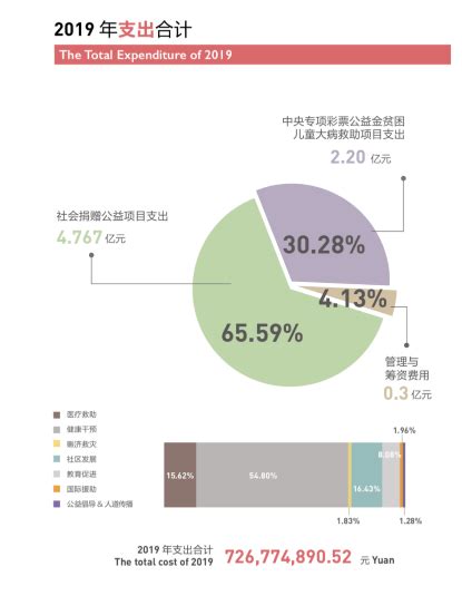 中国红十字基金会报告：2019年度收入达761亿元红基会