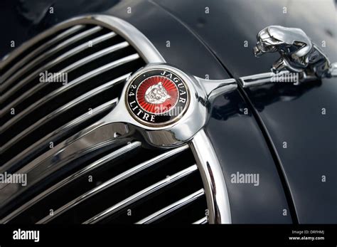 jaguar car emblem front grille Stock Photo - Alamy