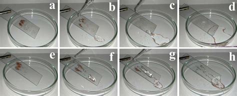 Self Cleaning Simulation Of The Ad Superhydrophobic Glass And Eh Download Scientific