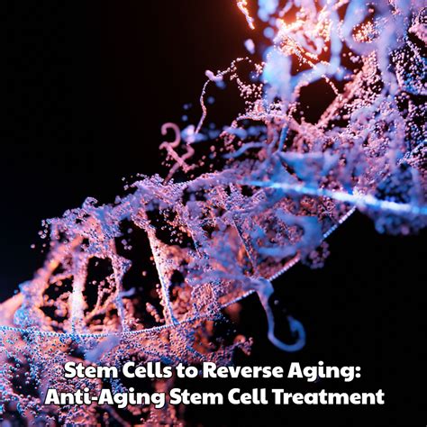 Stem Cells To Reverse Aging Anti Aging Stem Cell Treatment Dreambody