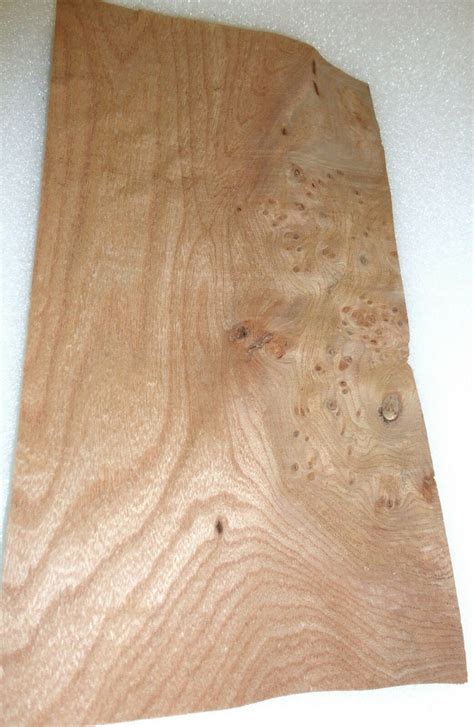 Carpathian Elm Burl Wood Veneer X Raw No Etsy