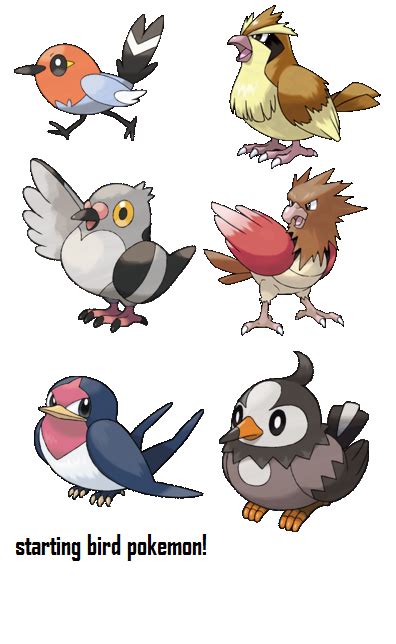 Starting Bird Pokemon by kingofnintendo9 on DeviantArt