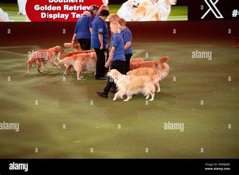 Crufts 2024 Display Team Hi Res Stock Photography And Images Alamy