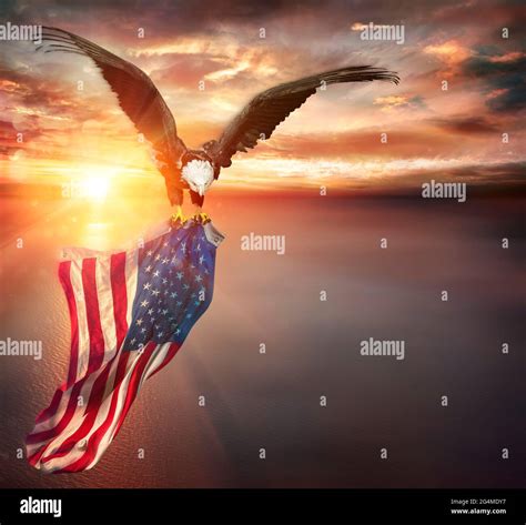 American Eagle Flying Usa Flag Hi Res Stock Photography And Images Alamy