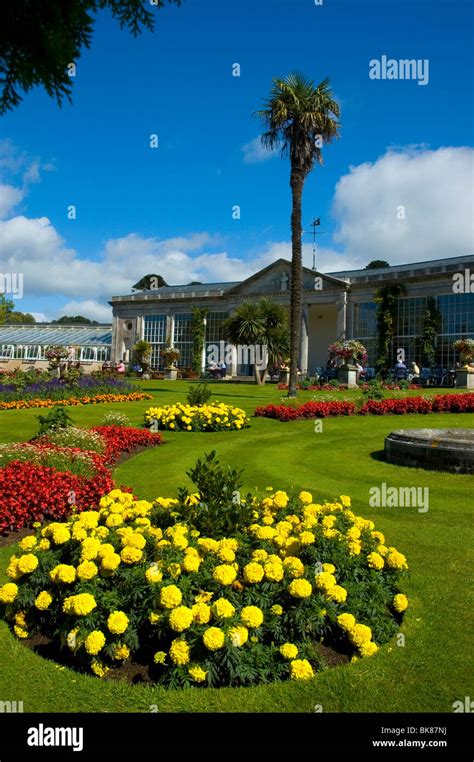 Devon, Bicton Park Flowers & Orangery Stock Photo - Alamy