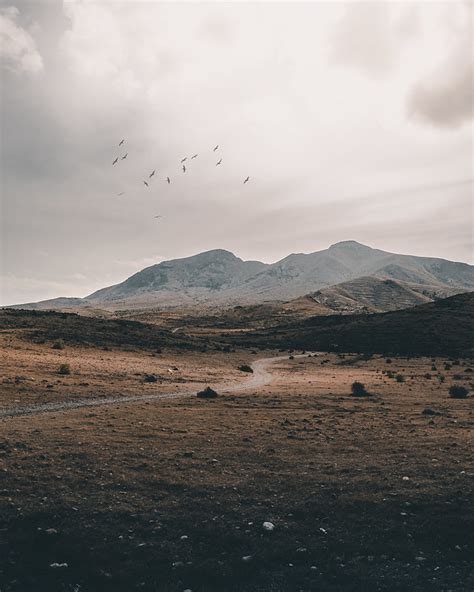 La Calma Del Sendero Paisajes Comunidad Nikonistas