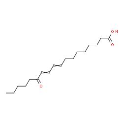 31385 09 8 13 Oxo 9 11 octadecadienoic acidCAS号 31385 09 8 13 Oxo 9 11