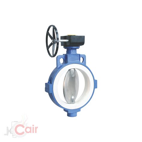 PTFE Sleeve Butterfly Valve Replaceable Muffler Cair Euromatic Automation