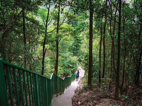 龙虎山森林浴 香港旅游发展局