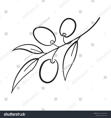 Olive Branch Outline Vector Drawing เวกเตอร์สต็อก ปลอดค่าลิขสิทธิ์