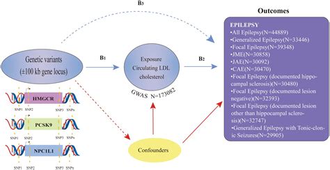 Frontiers Analyzing The Causal Relationship Between Lipid Lowering