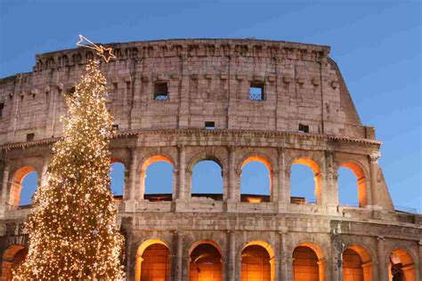 Roma l albero di Natale della città trasloca dove vederlo e quando ci