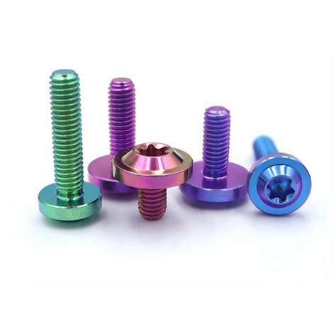 Dished Head Plum Bolt Titanium Screw M24 Titanium Bike Screws