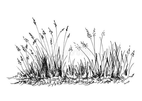 Hand sketch grass. Vector illustration #Sponsored , #paid, #SPONSORED, #sketch, #Vector, #grass ...