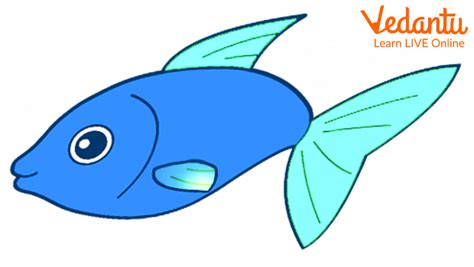 Short Poems On Fish For Kids Popular Fish Poems For Children