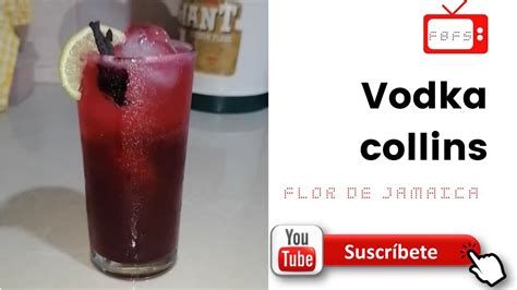 Vodka Collins Cóctel Con Flor De Jamaica Youtube