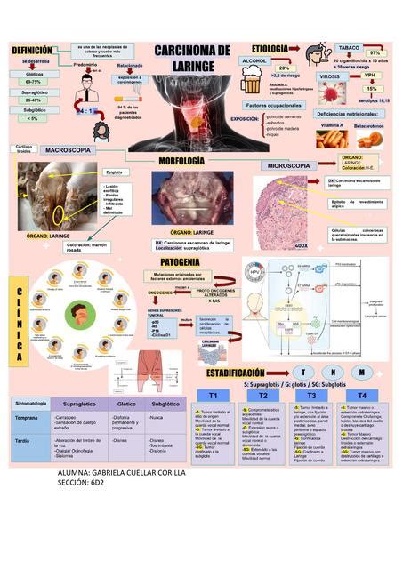 Res Menes De Carcinoma Escamoso Descarga Apuntes De Carcinoma Escamoso