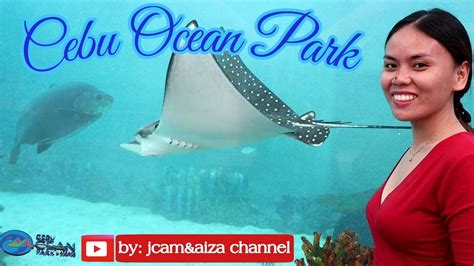 Cebu Ocean Park Rates And Activities Ticket Prices Youtube