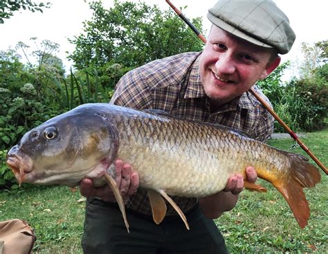 Wild Carp Identification Guide From The Wild Carp Trust Wild Carp Trust