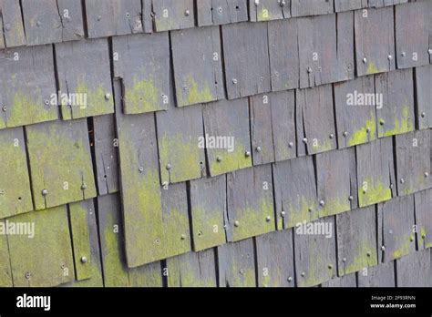 Verdigris Texture Hi Res Stock Photography And Images Alamy