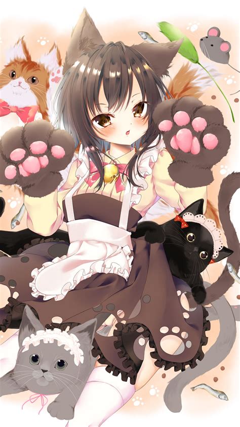 Discover Anime Wallpaper Cat In Coedo Vn