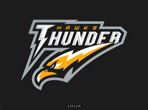 Thunder Hawks Team Logo Design Logo Design Sports Logo Inspiration