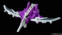 TFW2005 S Siege Phantom Strike Squadron Skywarp Gallery Live