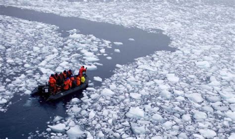 Las 4 Mejores Máquinas de Hielo BARATAS