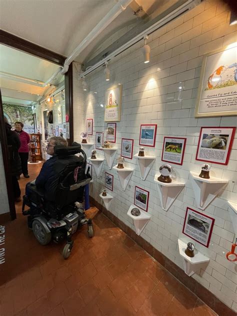 The National Poo Museum with Disabled Access - Sandown - Euan's Guide