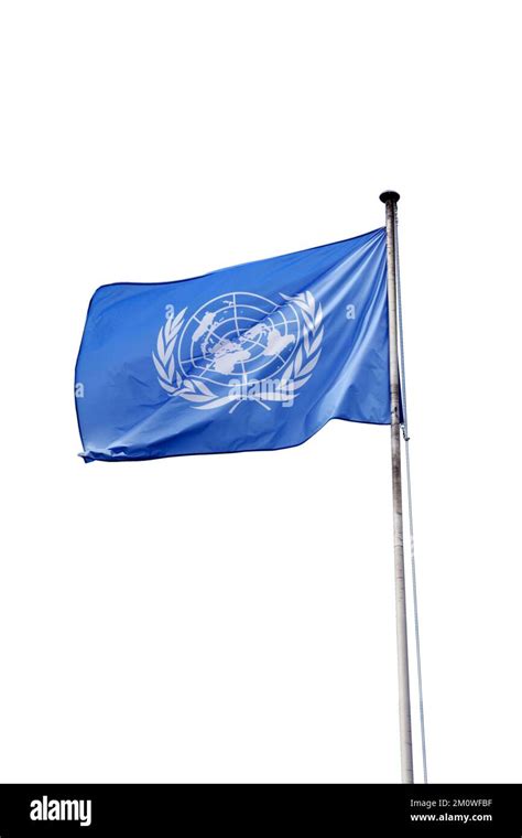 Flag of United Nations, isolated on white background Stock Photo - Alamy