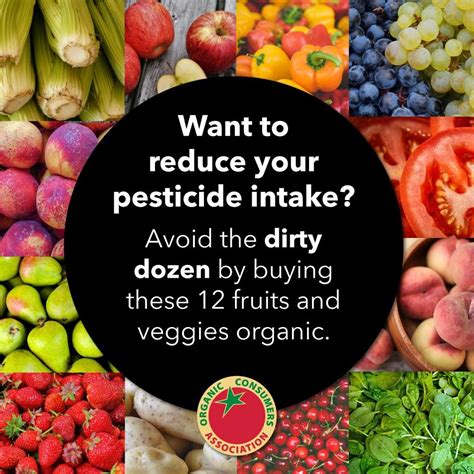 Foods With The Most Pesticides How To Avoid Them Eating Organic Healthy Food Choices Food