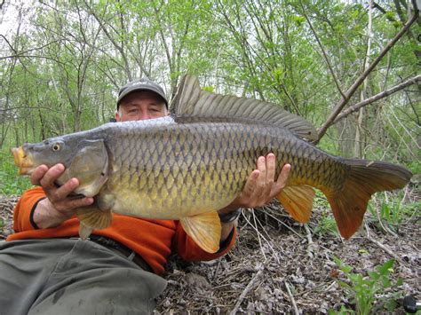 Rhode Island Carp Fishing Todays Twenty