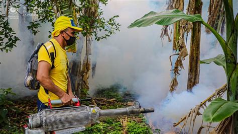 Fumigaci N Archives Presidencia De La Rep Blica De El Salvador