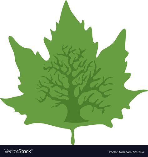 Maple Leaf Royalty Free Vector Image Vectorstock