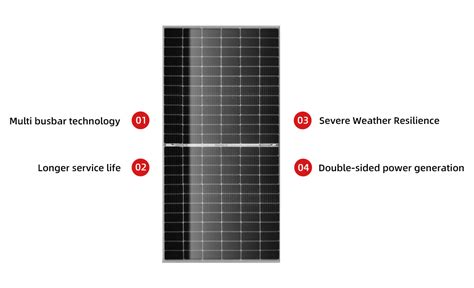 Professional 435w 440w 445w 450w 455w Bifacial Double Glass Half Cells Mono A Level Solar Panel