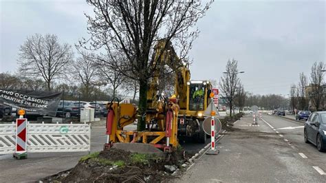 Tram de Liège les projets fleurissent autour du tracé un an avant sa