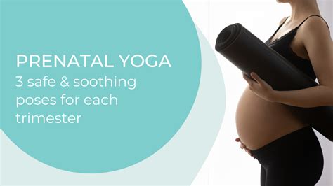 Your Guide To Safe Yoga Poses In Pregnancy Yoga Mamas Torontos Leading Prenatal Postnatal