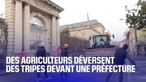 Des agriculteurs en colère déversent des tripes et du lisier devant la