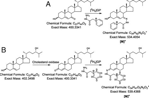 Derivatization Of Oxysterols A Derivatization Of 7 Oc With 2 H 0