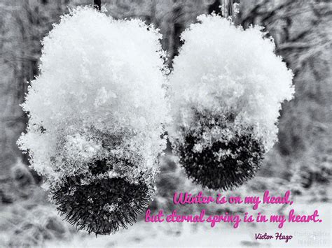 Just a snowy quote – …. by Claudia Willison