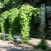 Pergola Am Haus Selbst Bauen Und Begr Nen