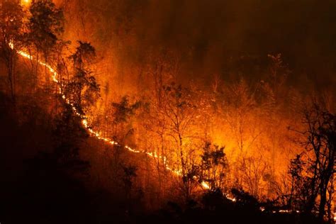 Devastating Maui Wildfires Kill At Least 36 People Destroy Historic