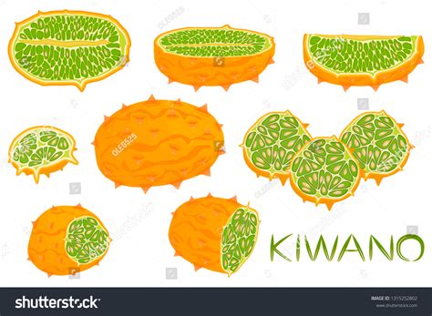 African Melon Over 536 Royalty Free Licensable Stock Illustrations