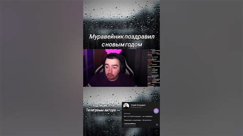 Стрей - Муравейник поздравил с новым годом #stray228 #shorts #dota2 # ...